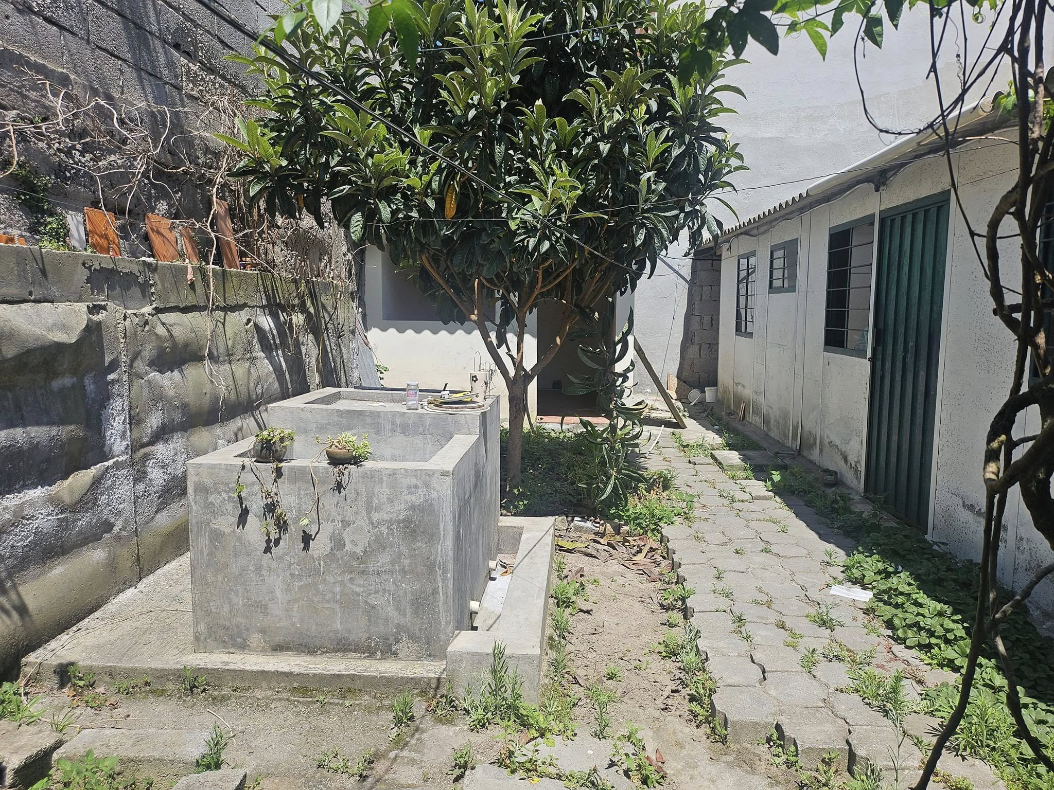 Corazón de Jesus 12