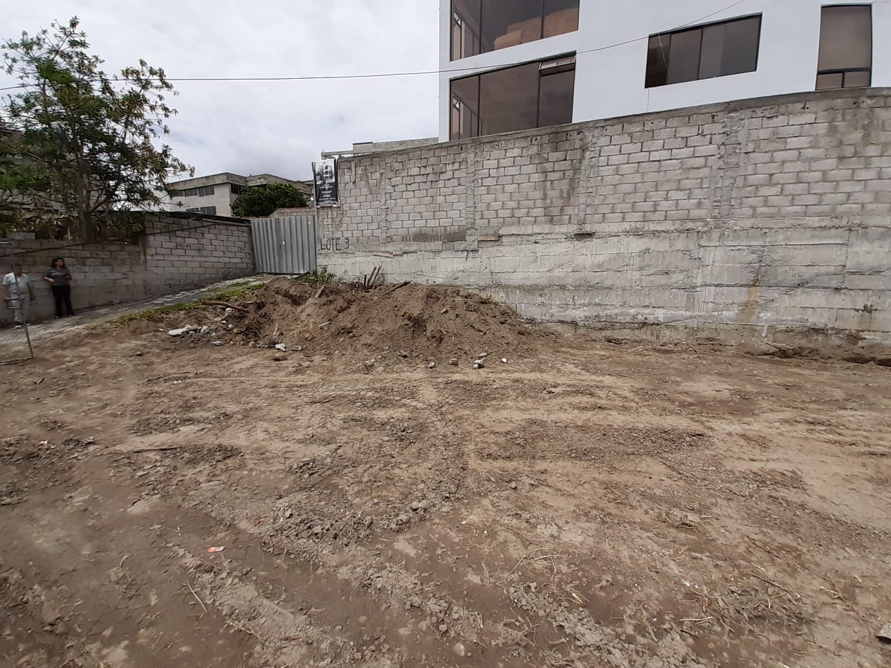 Terreno 5