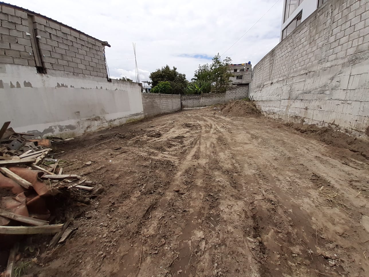 Terreno 6